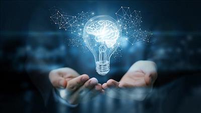 Triển khai thi hành Luật sửa đổi, bổ sung một số điều của Luật Sở hữu trí tuệ