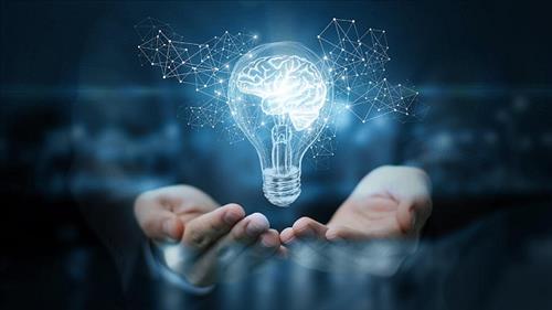 Triển khai thi hành Luật sửa đổi, bổ sung một số điều của Luật Sở hữu trí tuệ