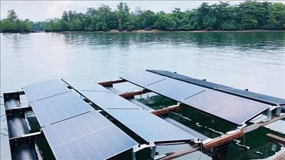 Kết hợp mô hình năng lượng mặt trời và nuôi cá đạt hiệu quả kinh tế cao