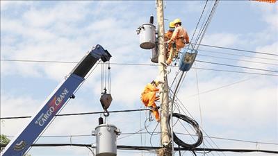 Ưu tiên cấp điện tưới tiêu, chống hạn mặn cho đồng bằng sông Cửu Long 
