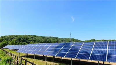 EVNSPC: 5 tháng đầu năm, sản lượng điện nhận từ các nhà máy ĐMT là hơn 1.370 triệu kWh