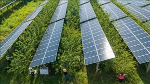 Hội nghị COP31 thúc đẩy trí tuệ nhân tạo có trách nhiệm với khí hậu