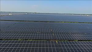 Năng lượng tái tạo chiếm gần 50% công suất điện toàn cầu