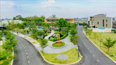 Xem xét, quyết định thành lập 15 đô thị mới