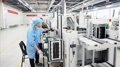 ADB: Kinh tế Việt Nam tăng trưởng vững mạnh 