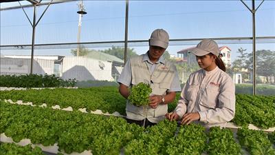Lồng ghép vấn đề xã hội trong tăng trưởng xanh