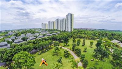 Thành lập Ban Chỉ đạo quốc gia về tăng trưởng xanh