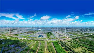 Xây dựng Bộ chỉ tiêu thống kê tăng trưởng xanh