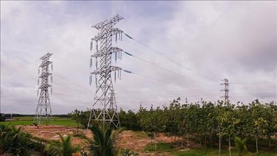 Dự kiến hoàn thành giai đoạn 1 TBA 220 kV Tây Ninh 2 vào cuối tháng 9
