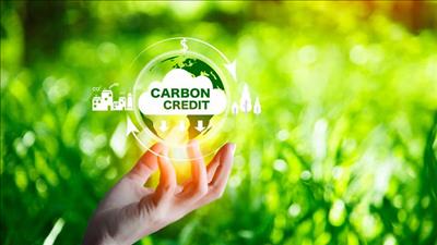Liên Hợp Quốc phê duyệt tín chỉ carbon đầu tiên theo cơ chế mới