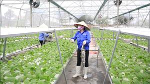 Đẩy mạnh sản xuất và tiêu dùng bền vững trên địa bàn thành phố Hà Nội