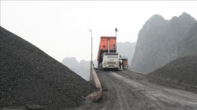 Chuyến hàng than nhập khẩu đầu tiên từ Hoa Kỳ về Việt Nam