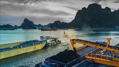 TKV sản xuất 20 triệu tấn than nguyên khai trong nửa đầu năm 2023