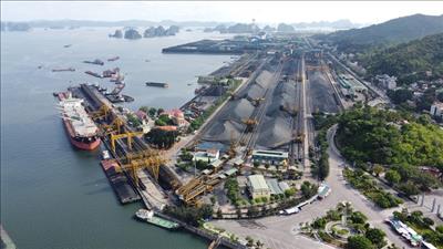 Doanh thu trong 7 tháng năm 2023 của TKV đạt 100.000 tỷ đồng