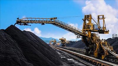TKV triển khai Kế hoạch phối hợp kinh doanh năm 2024