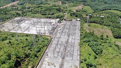 Quảng Nam trồng hơn 22ha rừng thuộc dự án đường dây 500kV Monsoon - Thạnh Mỹ