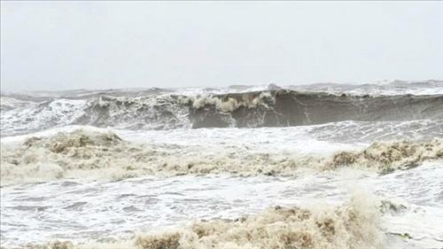Bộ Nông nghiệp và Môi trường đề nghị ứng phó với áp thấp nhiệt đới trên Biển Đông