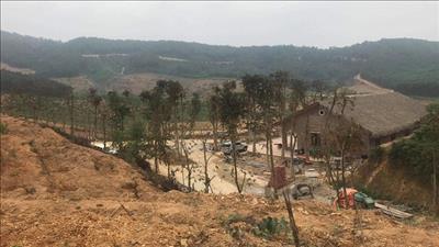 Đô Lương (Nghệ An): Dự án sai phạm nhưng không bị xử lý