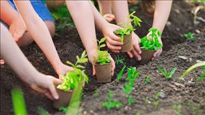 Thế hệ xanh hành động vì môi trường