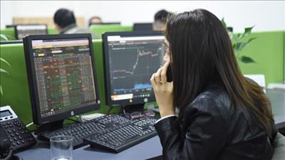 Danh mục cổ phiếu cần quan tâm ngày 20/11