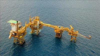 Petrovietnam nắm bắt cơ hội để mở rộng thị phần, đẩy mạnh tiêu thụ sản phẩm