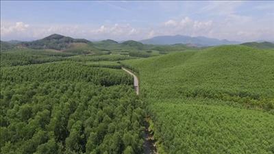 ADB: Đầu tư vào thiên nhiên là chìa khóa cho tương lai thịnh vượng