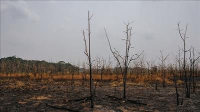 Nông nghiệp toàn cầu thiệt hại khoảng 3.260 tỷ USD do thiên tai