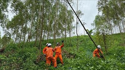 Ngành điện chủ động ứng phó với bão Yagi và mưa lũ