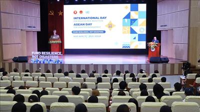 Đầu tư tăng cường khả năng chống chịu để giảm thiểu rủi ro thiên tai