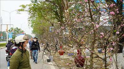 Thời tiết ngày 14/2: Nhiều khu vực trên cả nước có nắng