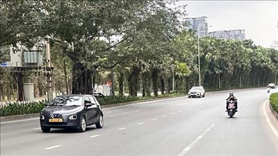 Nhiều khu vực ngày nắng, chiều tối có mưa dông