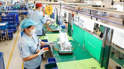Cắt giảm, đơn giản hóa thủ tục hành chính liên quan đến sản xuất, kinh doanh năm 2025, 2026