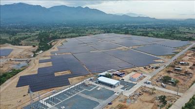 Ninh Thuận: Đóng điện TBA 220 kV Nhà máy điện mặt trời Thuận Nam 12