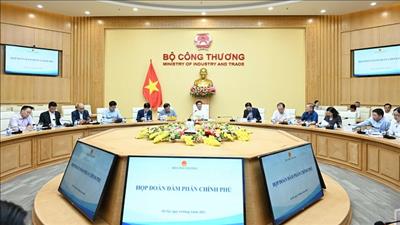 Họp Đoàn đàm phán Chính phủ về các vấn đề thương mại với Hoa Kỳ