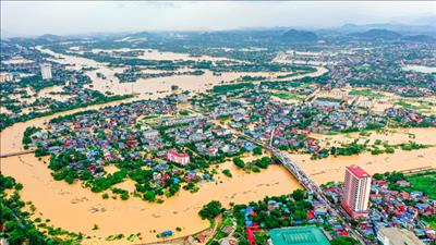 Miễn, giảm thuế cho người dân và doanh nghiệp bị thiệt hại do thiên tai