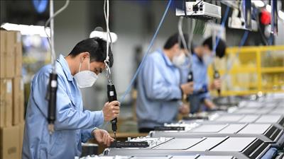 Giá trị thương mại Việt Nam - EU tăng 18% so với cùng kỳ năm 2020