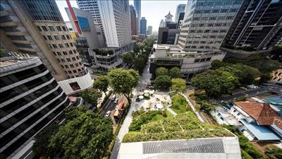Việt Nam cần ưu tiên xanh hóa ngành thương mại