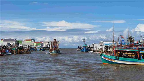 Tập trung triển khai hệ thống truy xuất nguồn gốc thủy sản khai thác điện tử