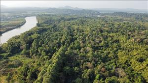 Thực hiện một số nhiệm vụ, giải pháp trọng tâm điều hành chính sách tiền tệ, tài khóa năm 2026