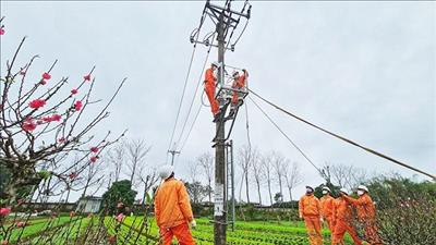 Năm 2022: EVNHANOI phấn đấu tiết kiệm từ 2,2% điện thương phẩm trở lên