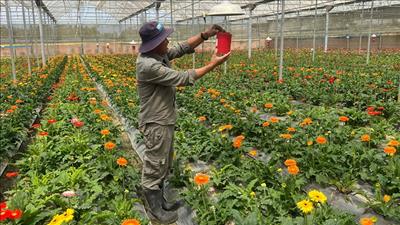 Tiết kiệm điện trong sản xuất nông nghiệp