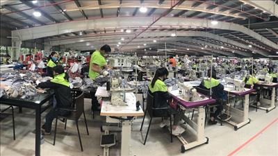 Triển khai kế hoạch hoạt động năm 2022 của Chương trình DEPP3