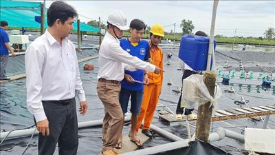 Cà Mau thực hiện kế hoạch sử dụng năng lượng tiết kiệm và hiệu quả năm 2024