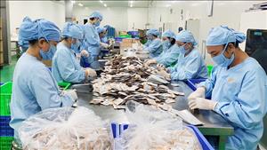 Kinh tế xanh: Từ chính sách đến lựa chọn tiêu dùng