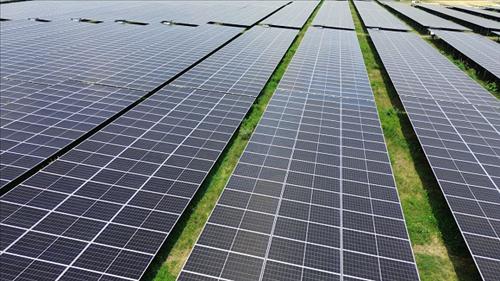 Thúc đẩy hợp tác trao đổi quốc tế tín chỉ carbon