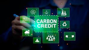 Tăng cường năng lực cho các doanh nghiệp tham gia thị trường carbon