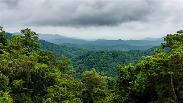 Hỗ trợ doanh nghiệp chủ động tham gia thị trường carbon