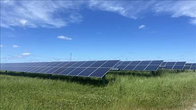 Thiết lập cơ chế giám sát giao dịch hạn ngạch phát thải khí nhà kính, tín chỉ carbon