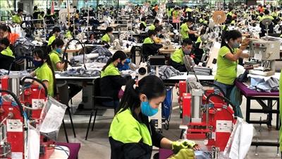 Xây dựng và vận hành hệ thống quản lý năng lượng theo tiêu chuẩn ISO 50001