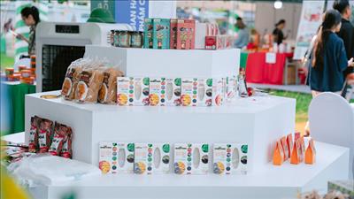 Kế hoạch hoạt động xúc tiến thương mại giai đoạn 2026 - 2030